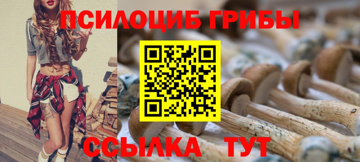 Галлюциногенные грибы MAGIC MUSHROOMS  сколько стоит  Лесозаводск  Вход с VPN 